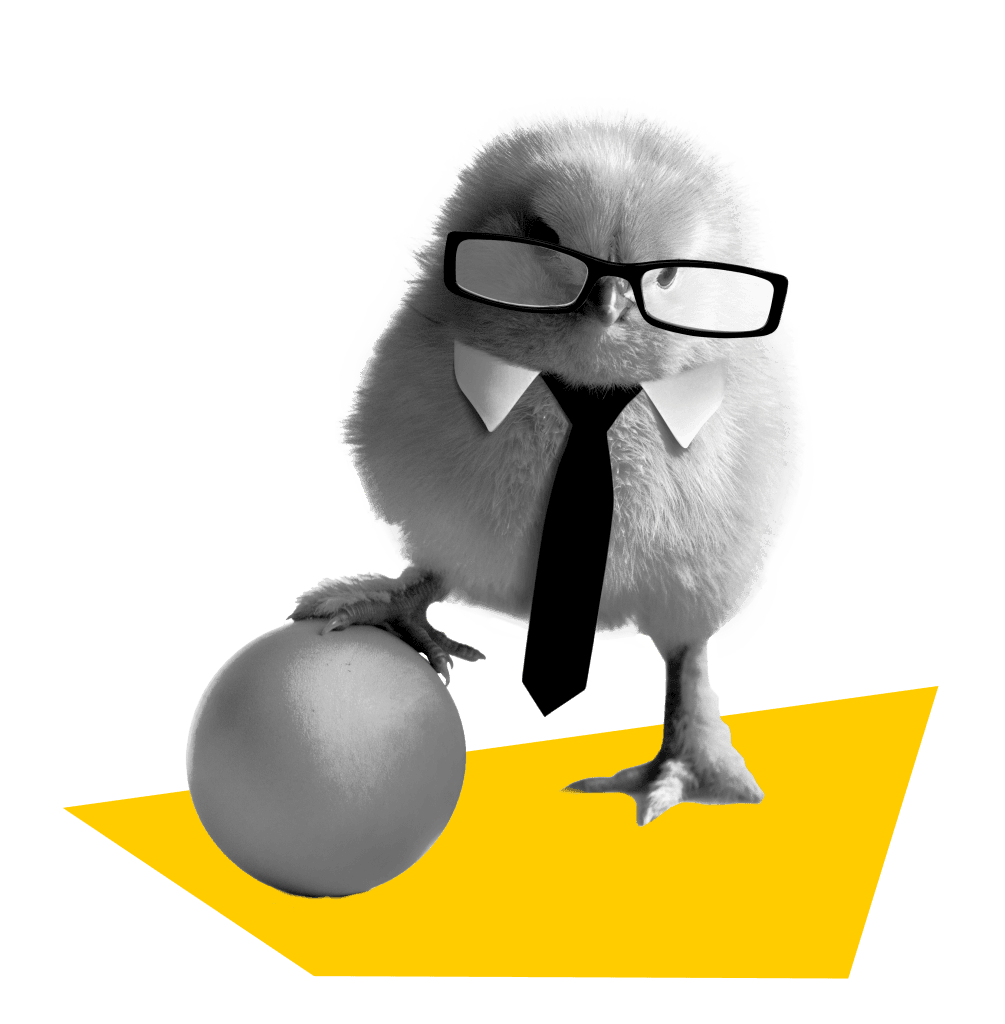 Soluciones Web de Impacto